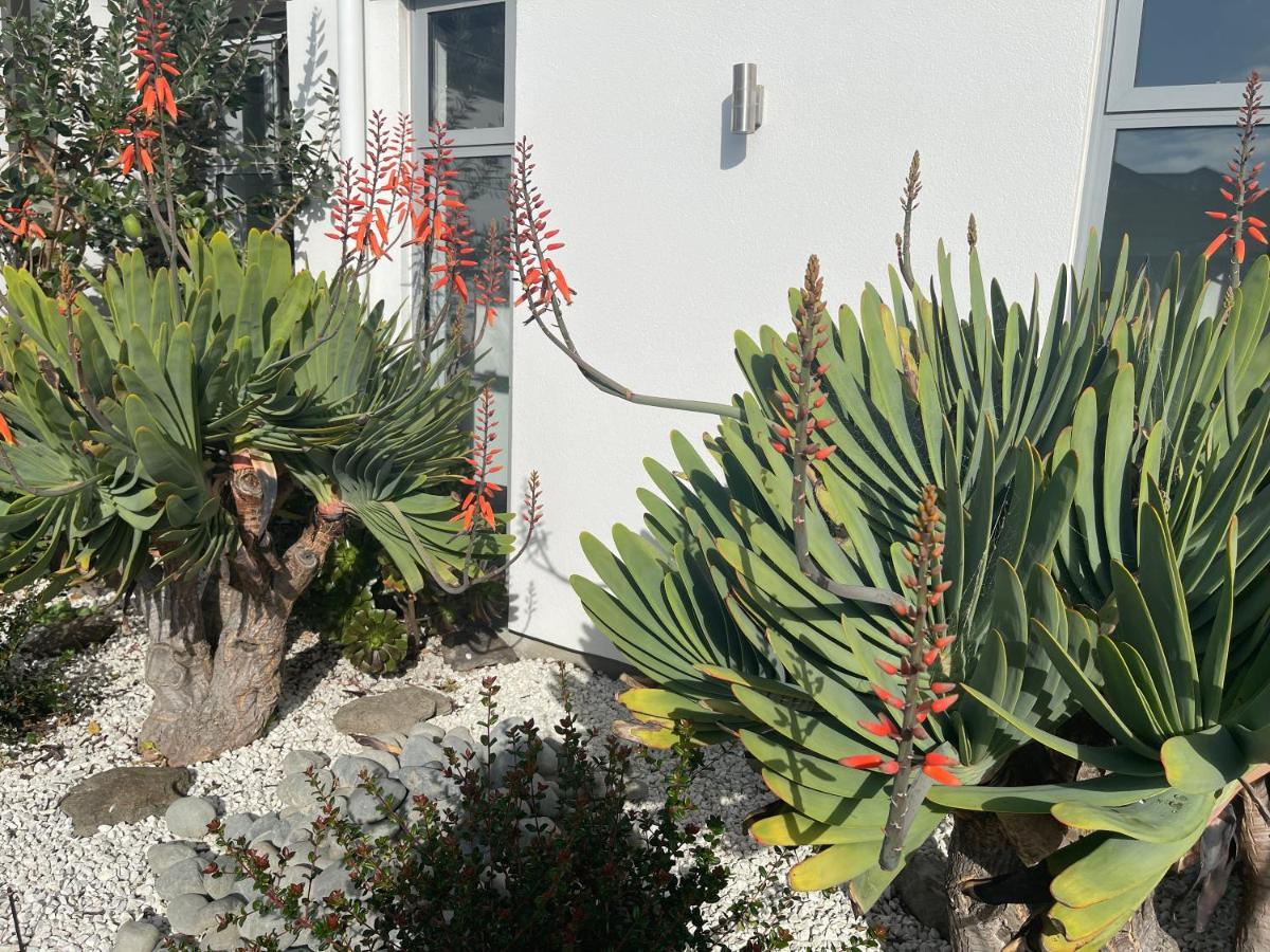 Stunning Park Side Holiday Home Christchurch Exteriör bild
